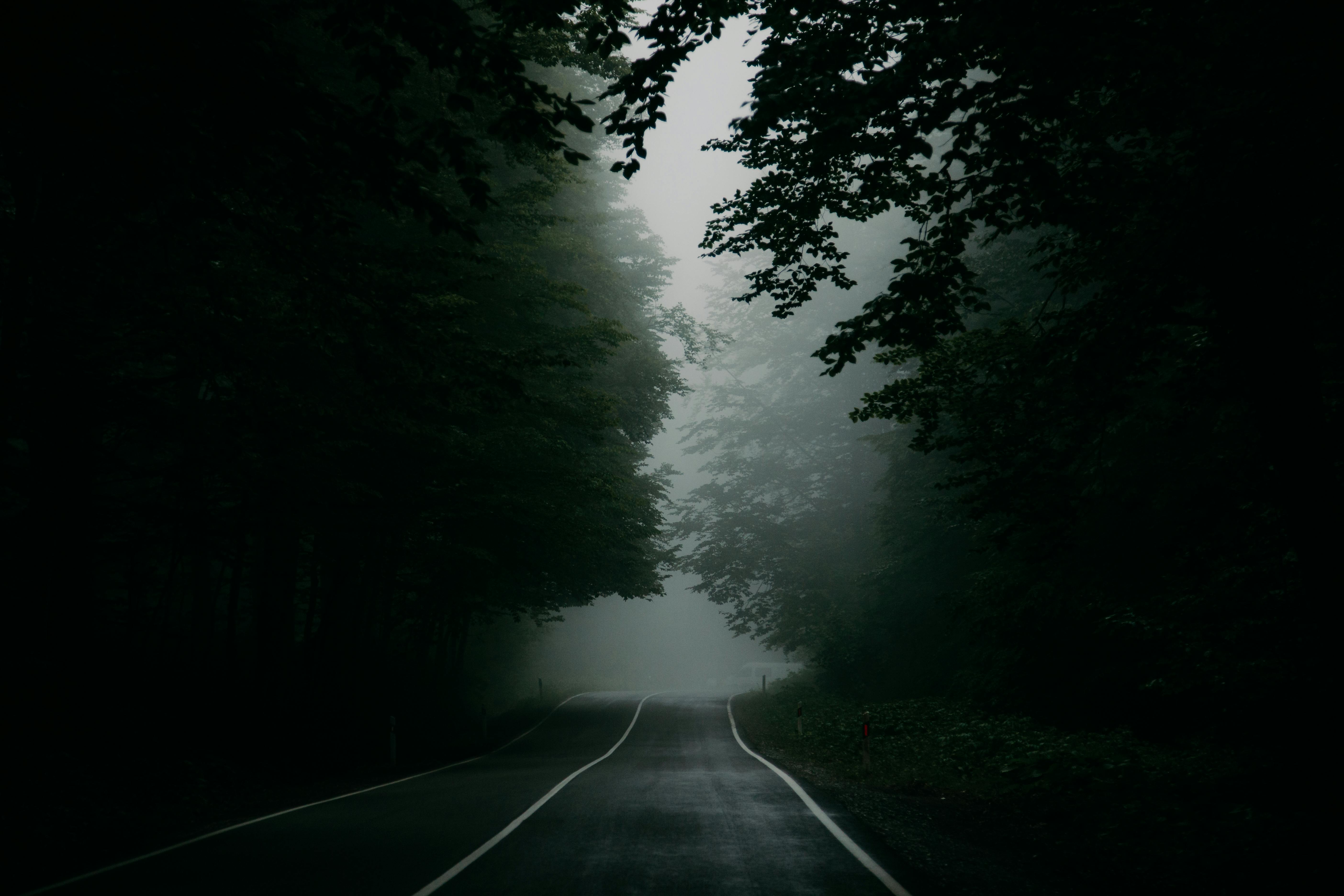 Le chemin intérieur — Lecture hypnotique